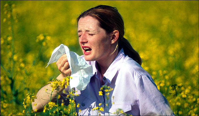 花粉症　予防